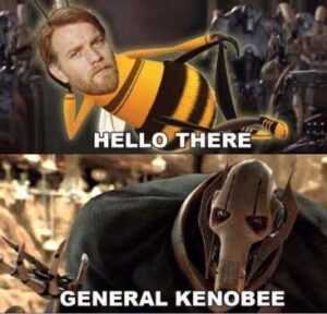 Hello There Meme