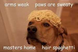 Moms Spaghetti Meme