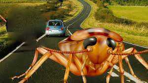 Roach Getting In Car Meme