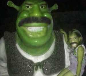 Shrek Face Meme