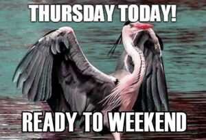 Thursday Meme Funny