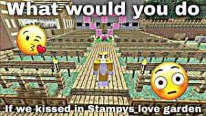 What If We Kissed Meme