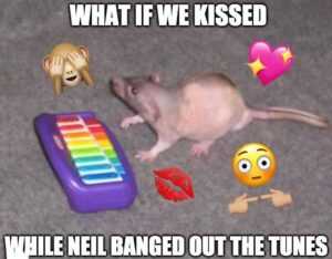 What If We Kissed Meme