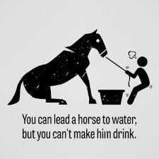 You Can Lead A Horse To Water Meme