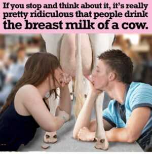 Breast Milk Meme