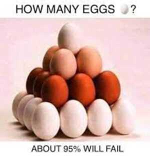 How Many Eggs Meme