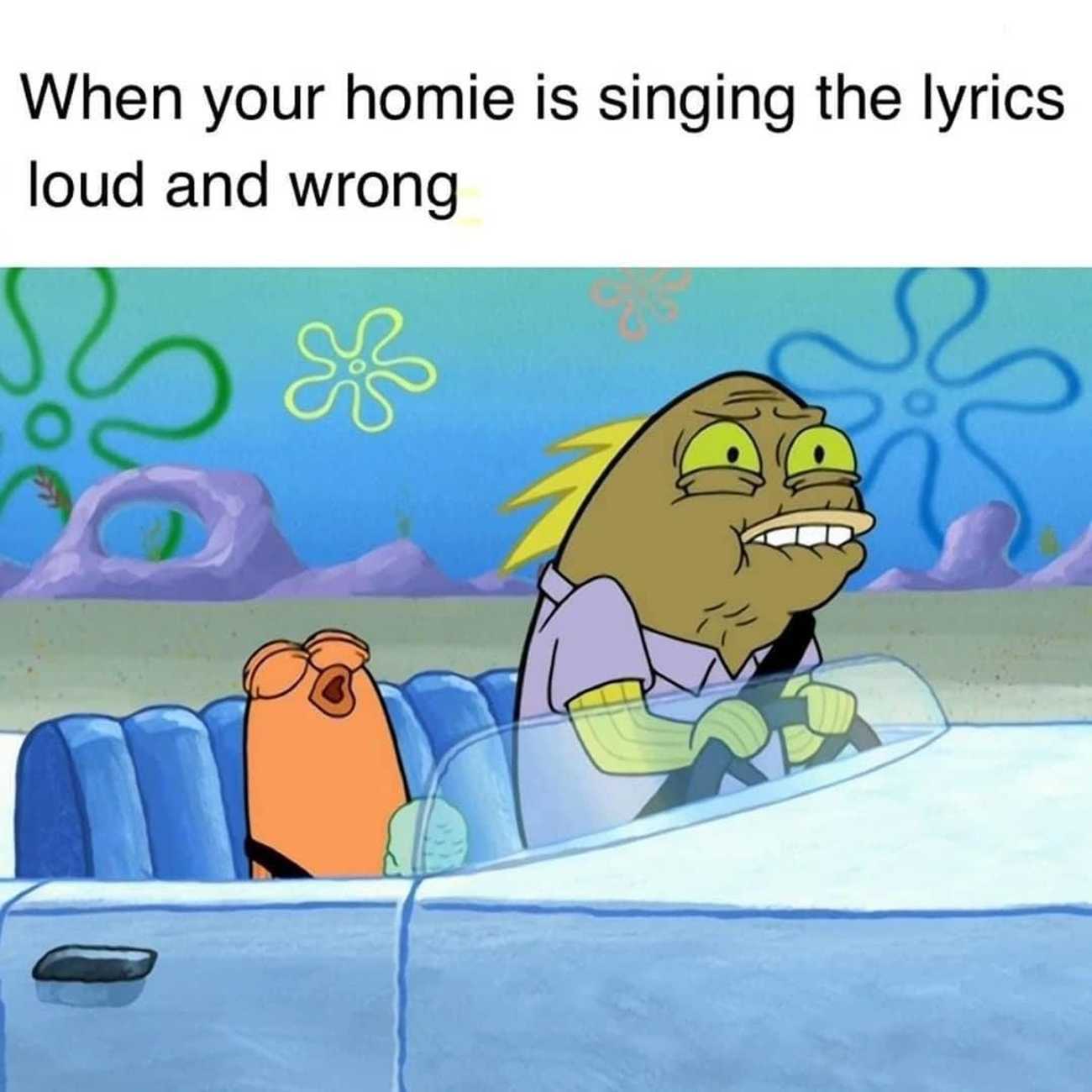Singing Meme - IdleMeme