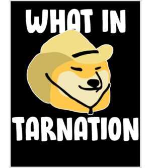 What In Tarnation Meme