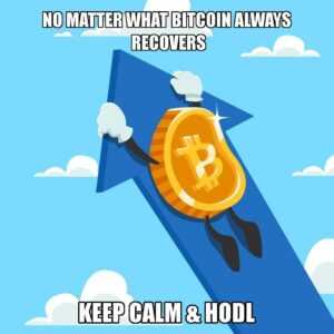 Bitcoin Meme