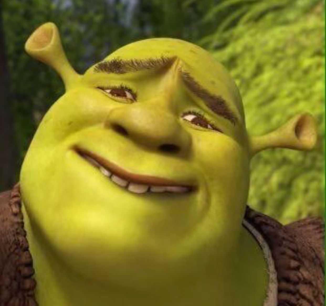 Shrek Wazowski Shrek Shrek Shrek Memes Funny Throw Pi - vrogue.co