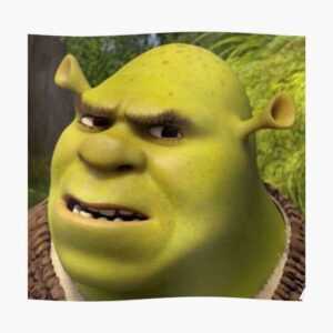 Shrek Meme Face