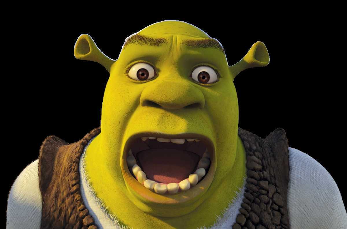 Shrek Face Meme. 