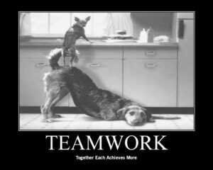 Teamwork Meme