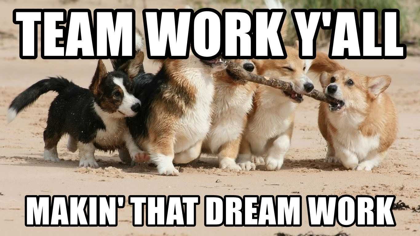 Teamwork Dream Work Meme