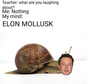 The Snail Meme