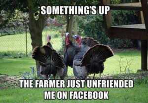 Almost Turkey Day Meme