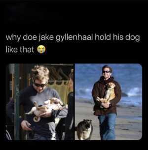 Jake Gyllenhaal Meme