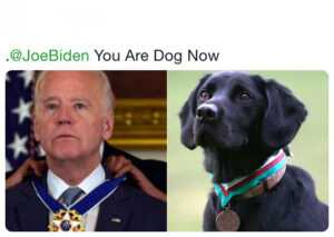 Joe Biden Dog Meme
