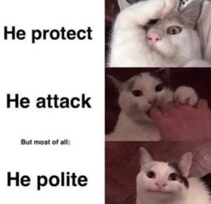 Polite Cat Meme