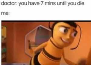 Bee Movie Meme