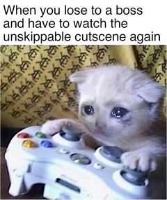 Cat Crying Meme