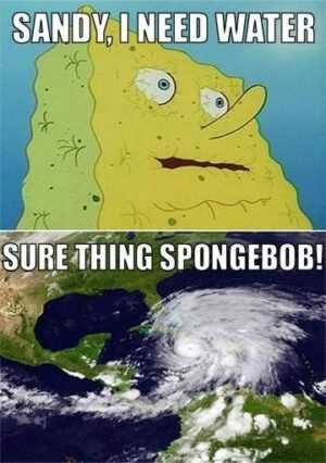 Dry Spongebob Meme