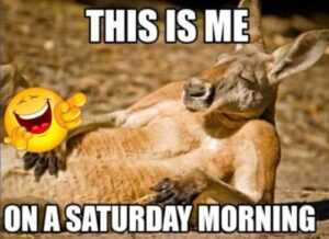 Happy Saturday Meme - IdleMeme