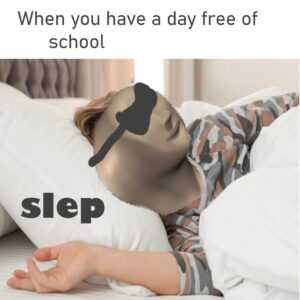Sleep Meme