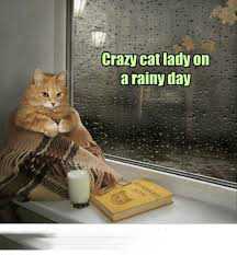 Rainy Day Meme