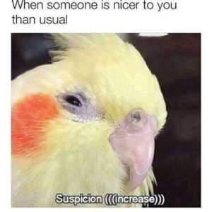 Suspicious Meme