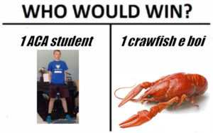 Crawfish Meme