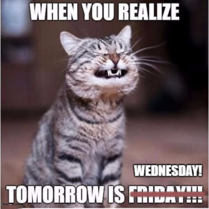 Happy Wednesday Meme - IdleMeme