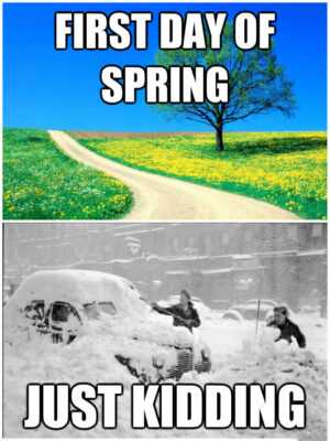 Spring Meme