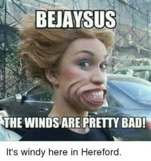 Windy Meme - IdleMeme