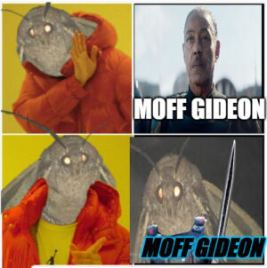 Moth Meme