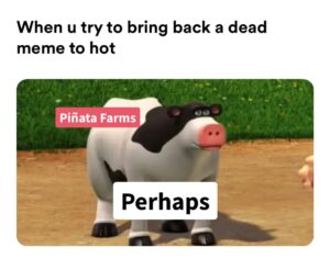 Perhaps Meme