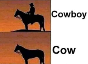 Man Horse Meme