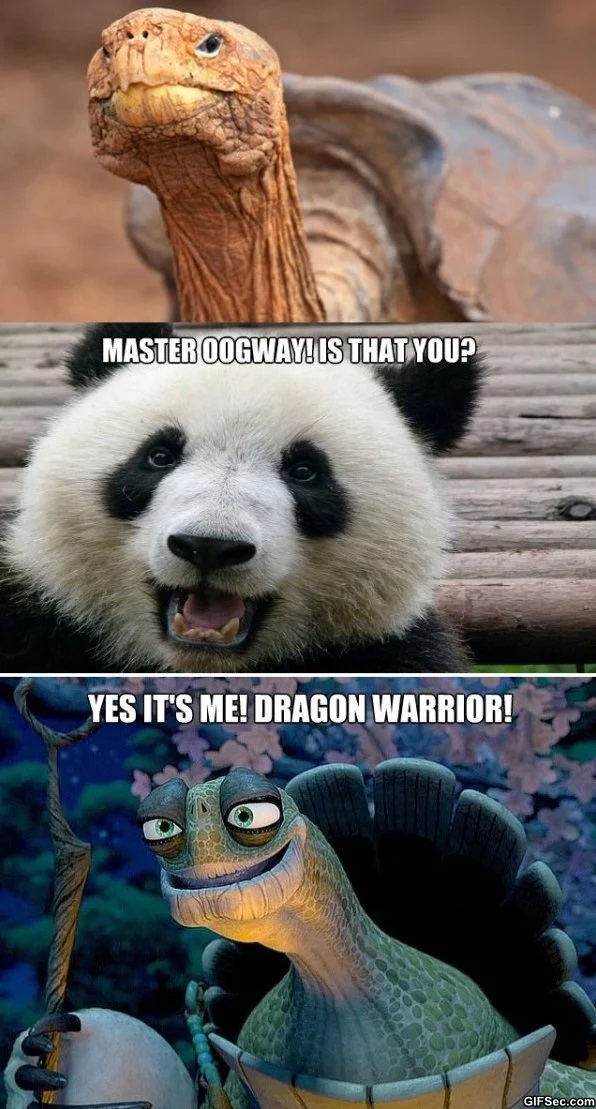 Master Oogway Meme - IdleMeme