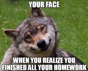 Wolf Meme