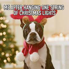 Christmas Meme