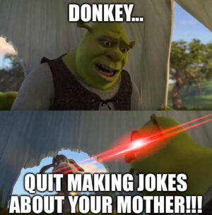 Donkey From Shrek Meme