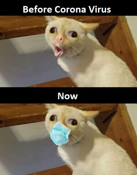 Coughing Cat Meme - IdleMeme