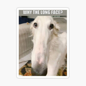 Long Nose Dog Meme