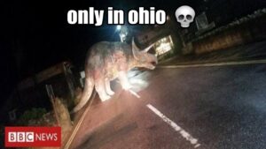 Only In Ohio Meme