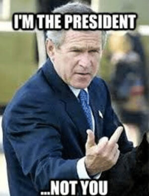 George Bush Meme