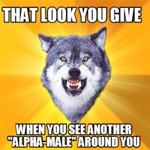 Alpha Wolf Meme - IdleMeme
