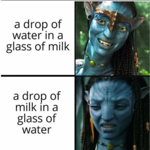 Avatar Meme