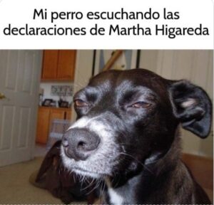Martha Higareda Meme
