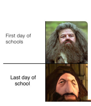 Last Day Of School Meme