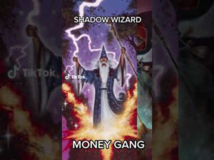 Shadow Wizard Money Gang Meme
